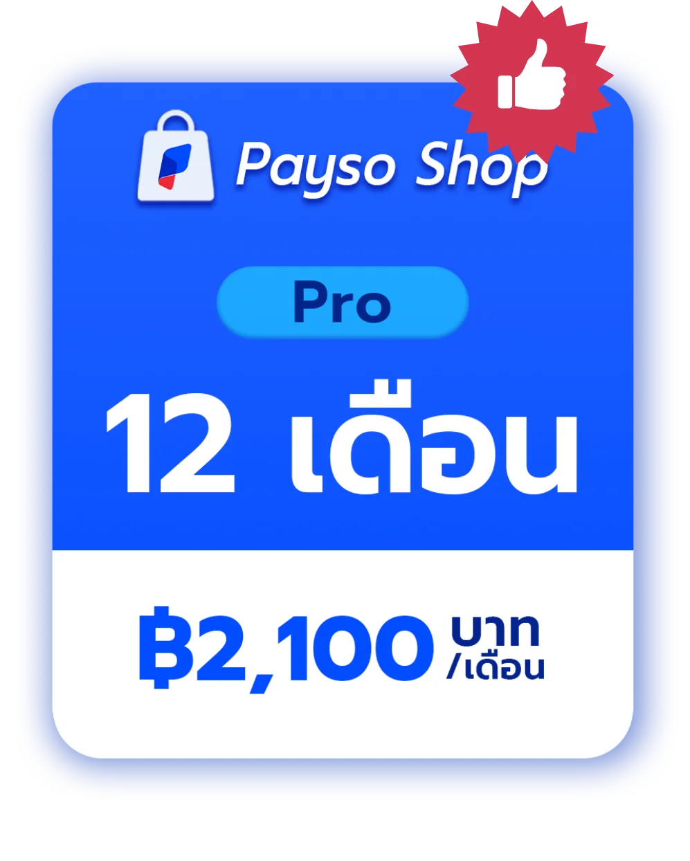 แพ็คเกจ Pro